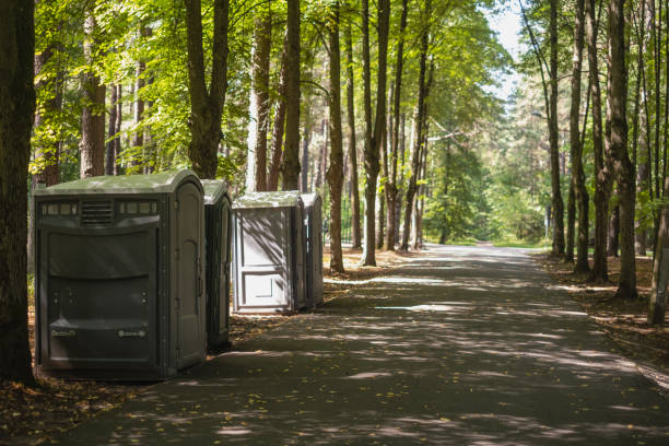 Best Luxury portable toilet rental  in Dassel, MN