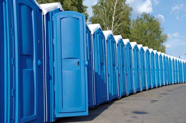 Best Portable bathroom rental  in Dassel, MN